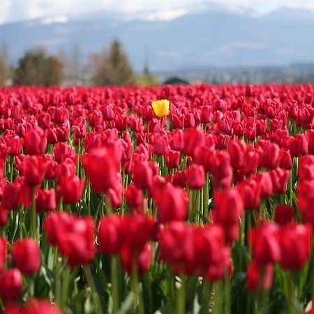 Red Tulip Hotel Angeles Luaran gambar